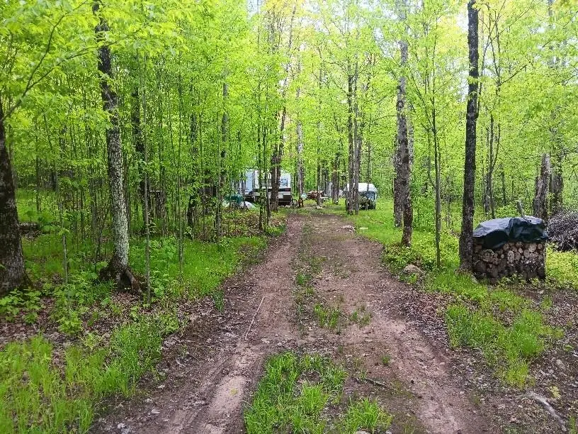 N10095 Woodland Lane, Phillips