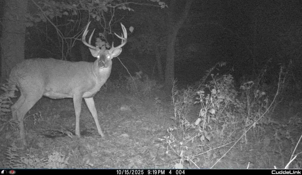 00 Fisher Road, Iola