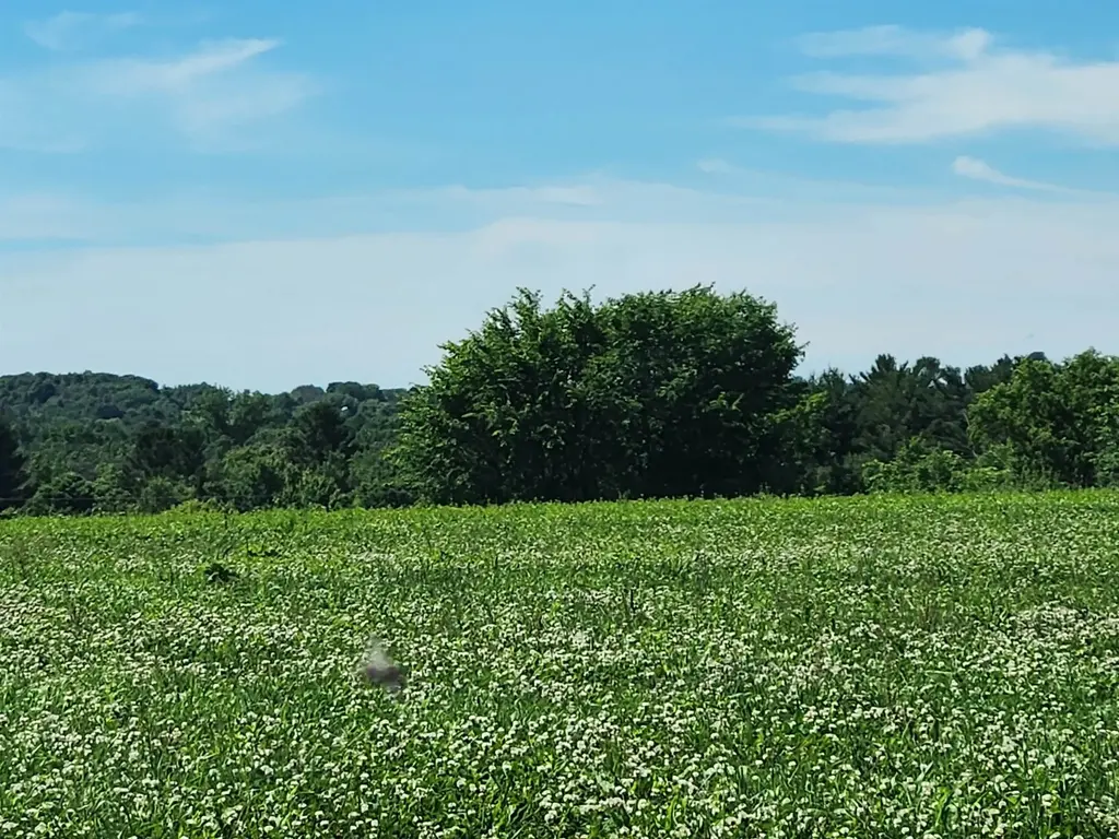 503 W North Road, Cadott