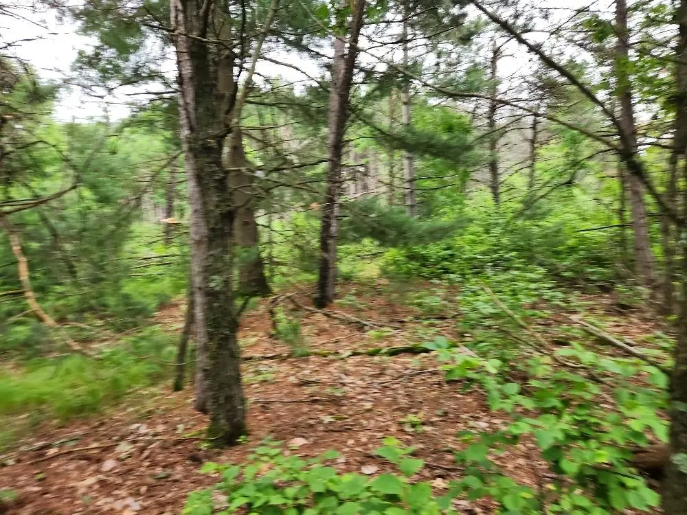 W3190 4th Street East, Nekoosa