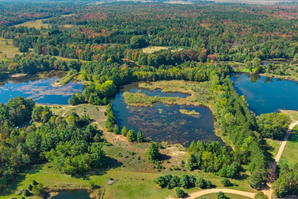 Lot 6 Goldenrod Lane, Custer