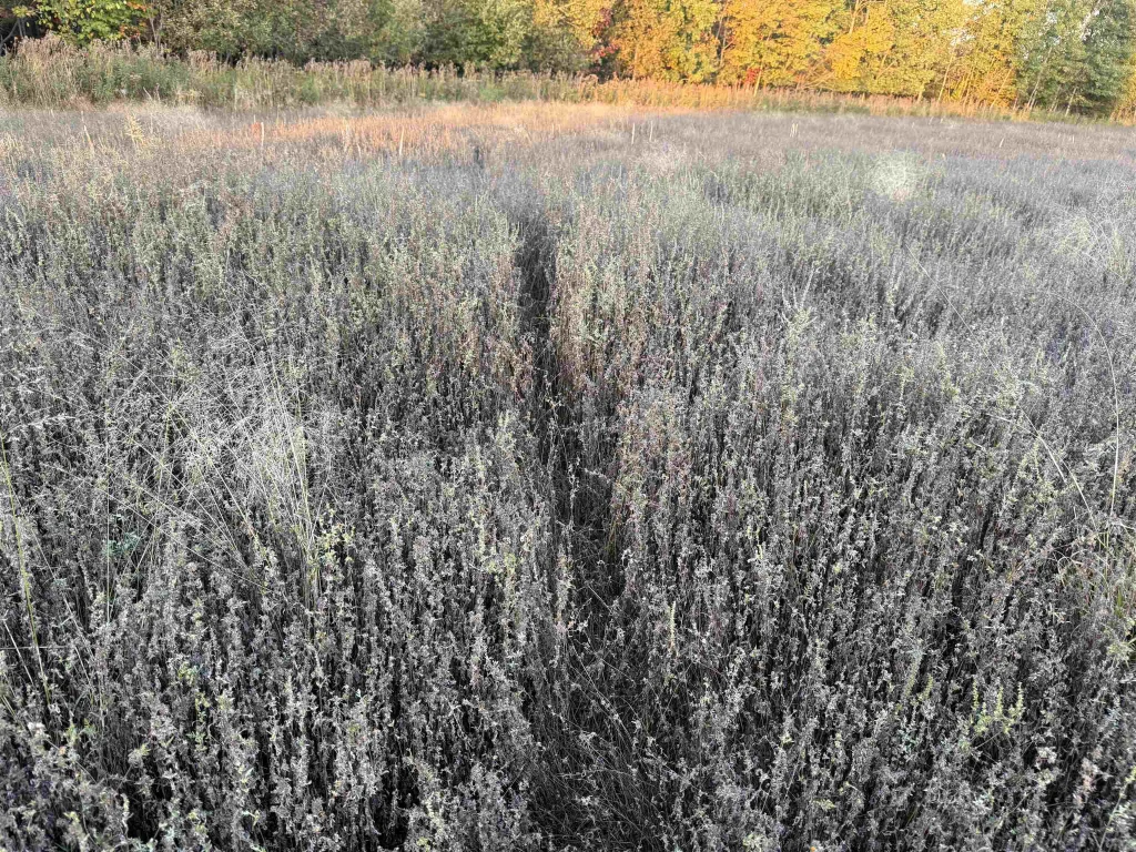 Lot 3 Eau Claire River Road, Aniwa