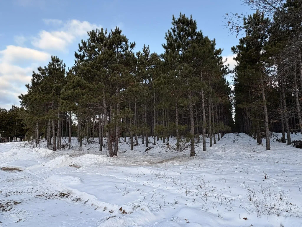 West 10 Acres Wilderness Lane, Wisconsin Rapids