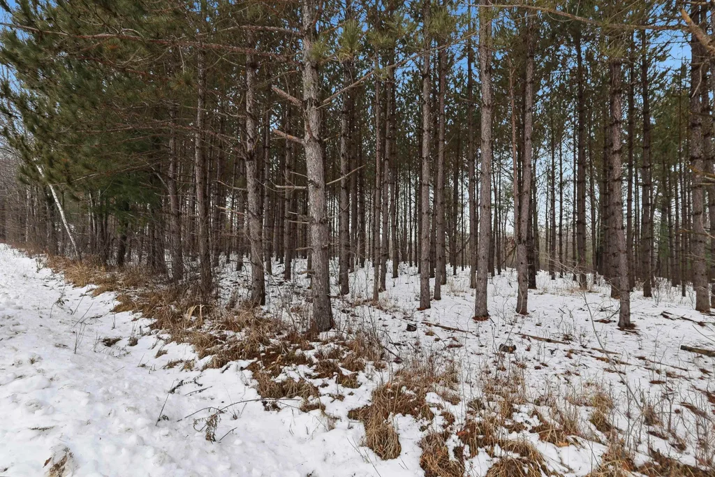 10 Acres Linwood Drive, Stevens Point