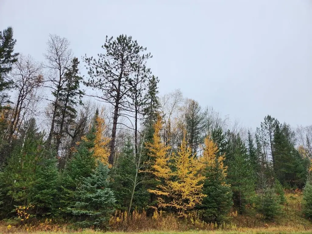 State Highway 86, Ogema