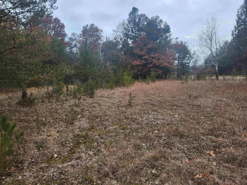 W3631 3rd Street, Nekoosa