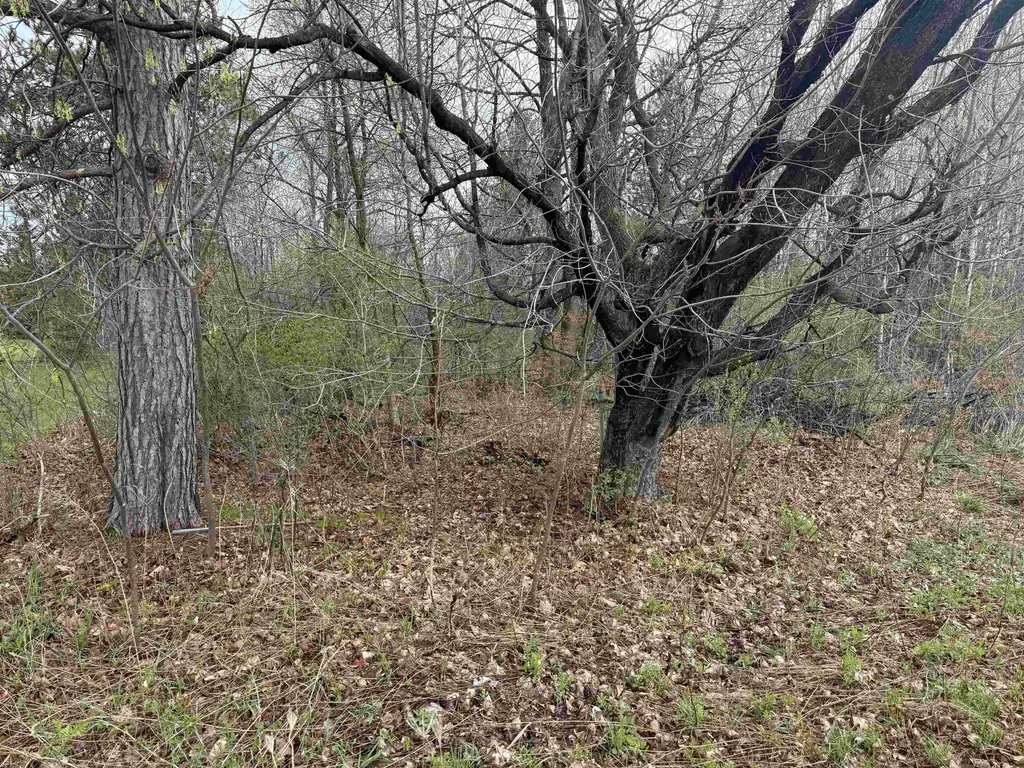 1 Acre Mol Merrill Avenue, Wausau