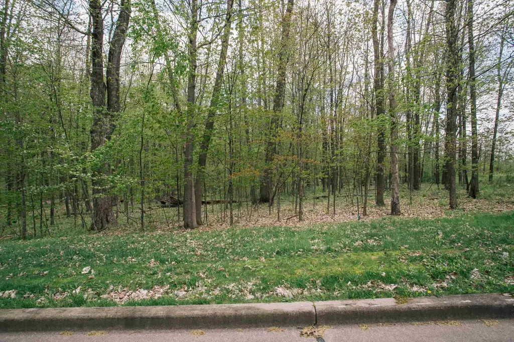 Lot 28 Sand Lane, Neillsville