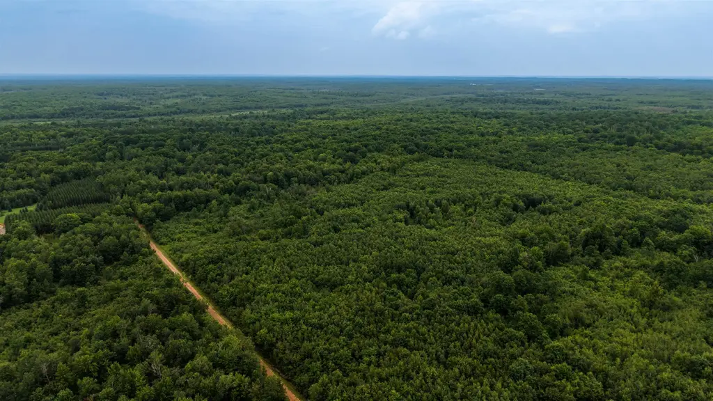 40 Acres Zogata Road, Kronenwetter