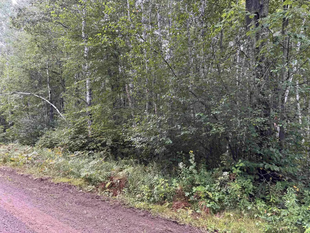 Armstrong Creek Road, Tomahawk