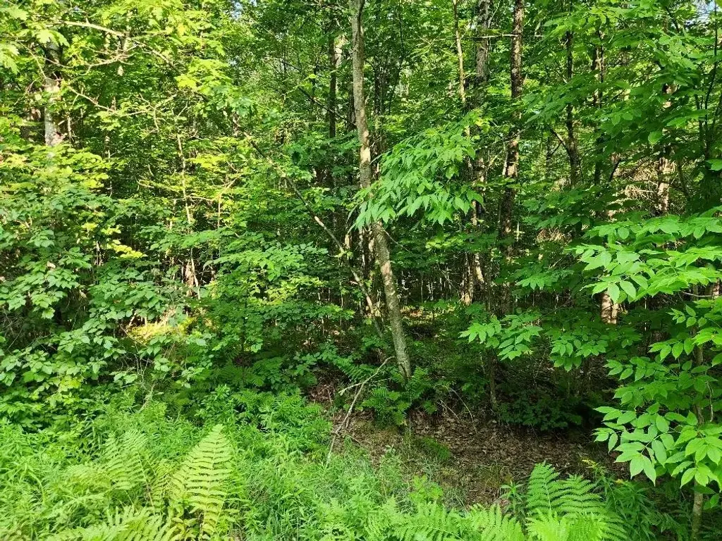 N6038 Gruening Lane, Tomahawk