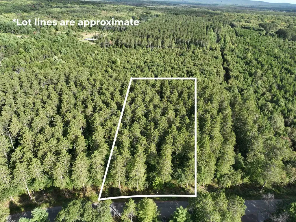 Lot 5 Scout Road, Mosinee