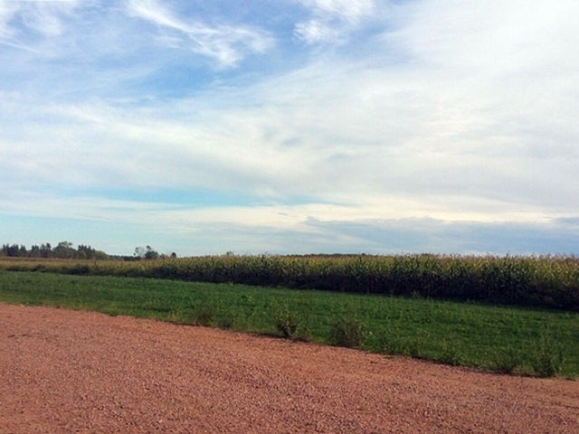 #1 S Draxler Drive, Marshfield