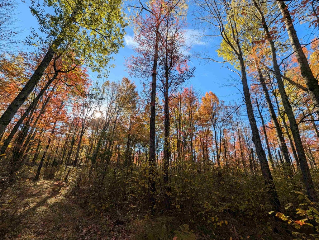 Off Worcester Lake Road, Prentice