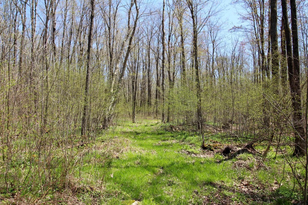 +/-76.79 Acres Wellington Lake Drive, Medford