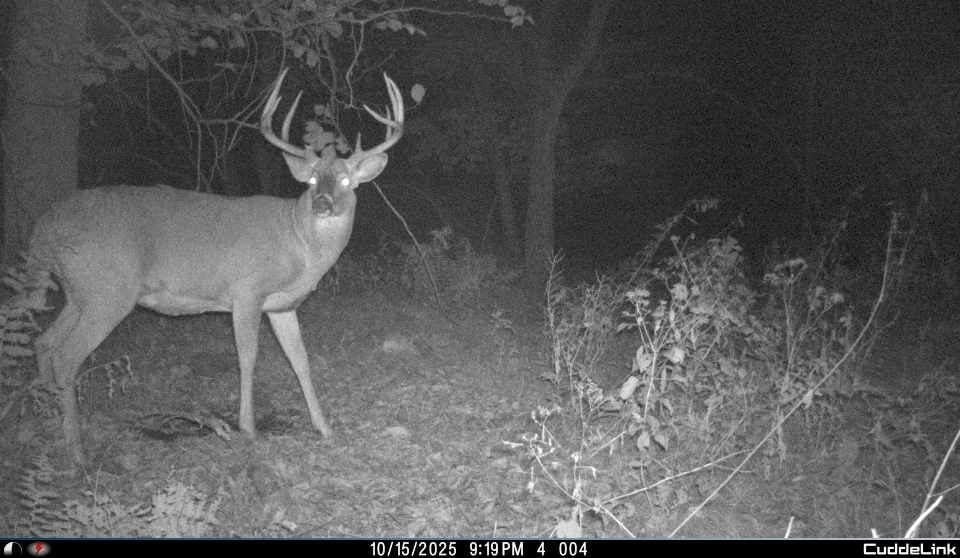 00 Fisher Road, Iola