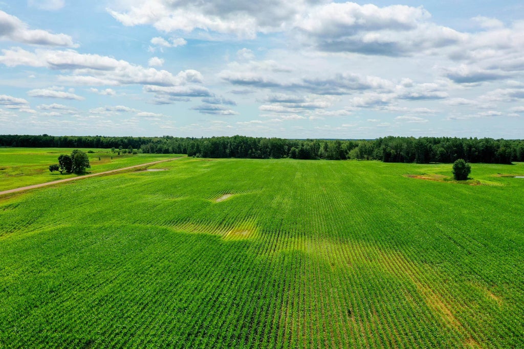 +/-196.61 Acres Wiese Drive, Rib Lake