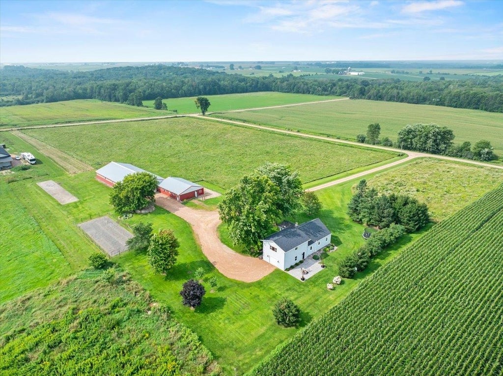 N10160 Sparrow Avenue, Loyal