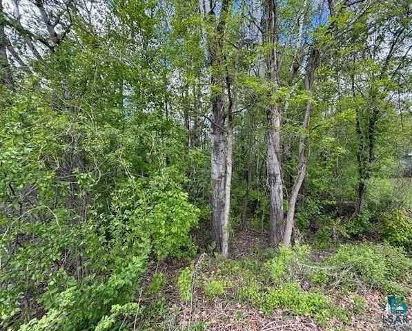 Tbd E 38th St, Hibbing