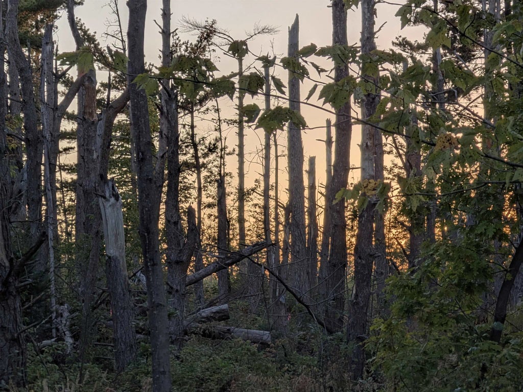 9.58 Acres On Peterson Hill Rd, Bayfield