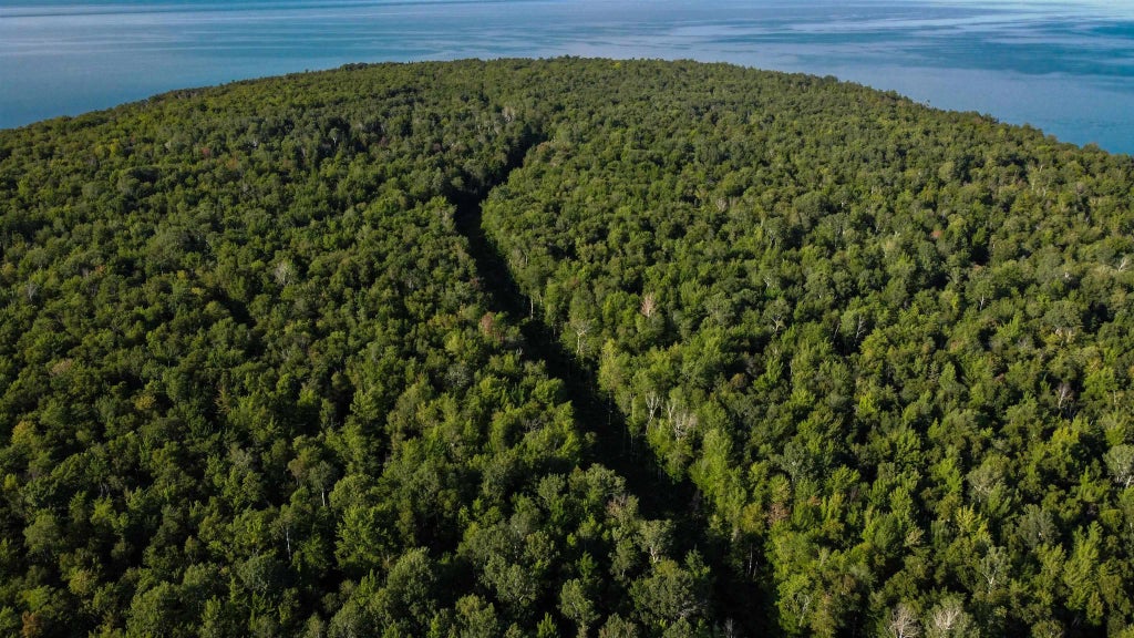 Lots 2-6 Romans Point Rd, Cornucopia