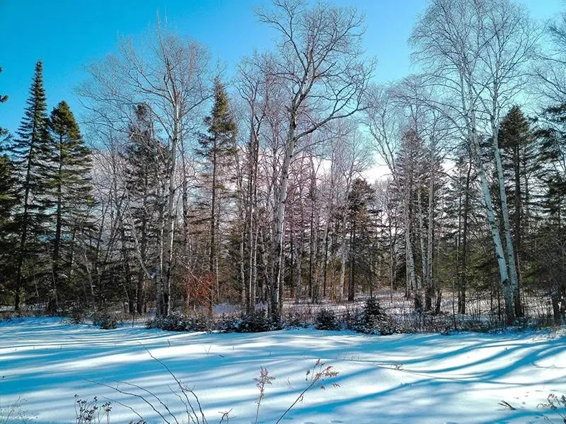 Xxx Hoaglund Dr, Tofte