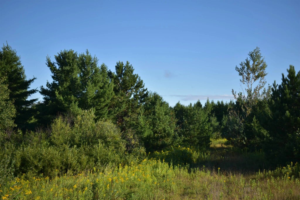 30210 Wannebo Rd, Washburn