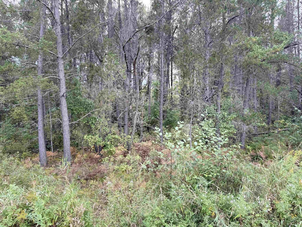 Old Odanah Rd, Ashland