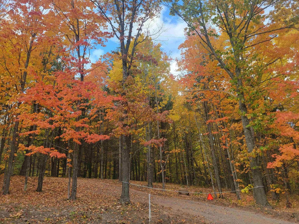 11xxx Old Military Rd, Bayfield