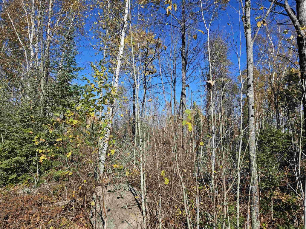 Xx Mattila Rd, Virginia