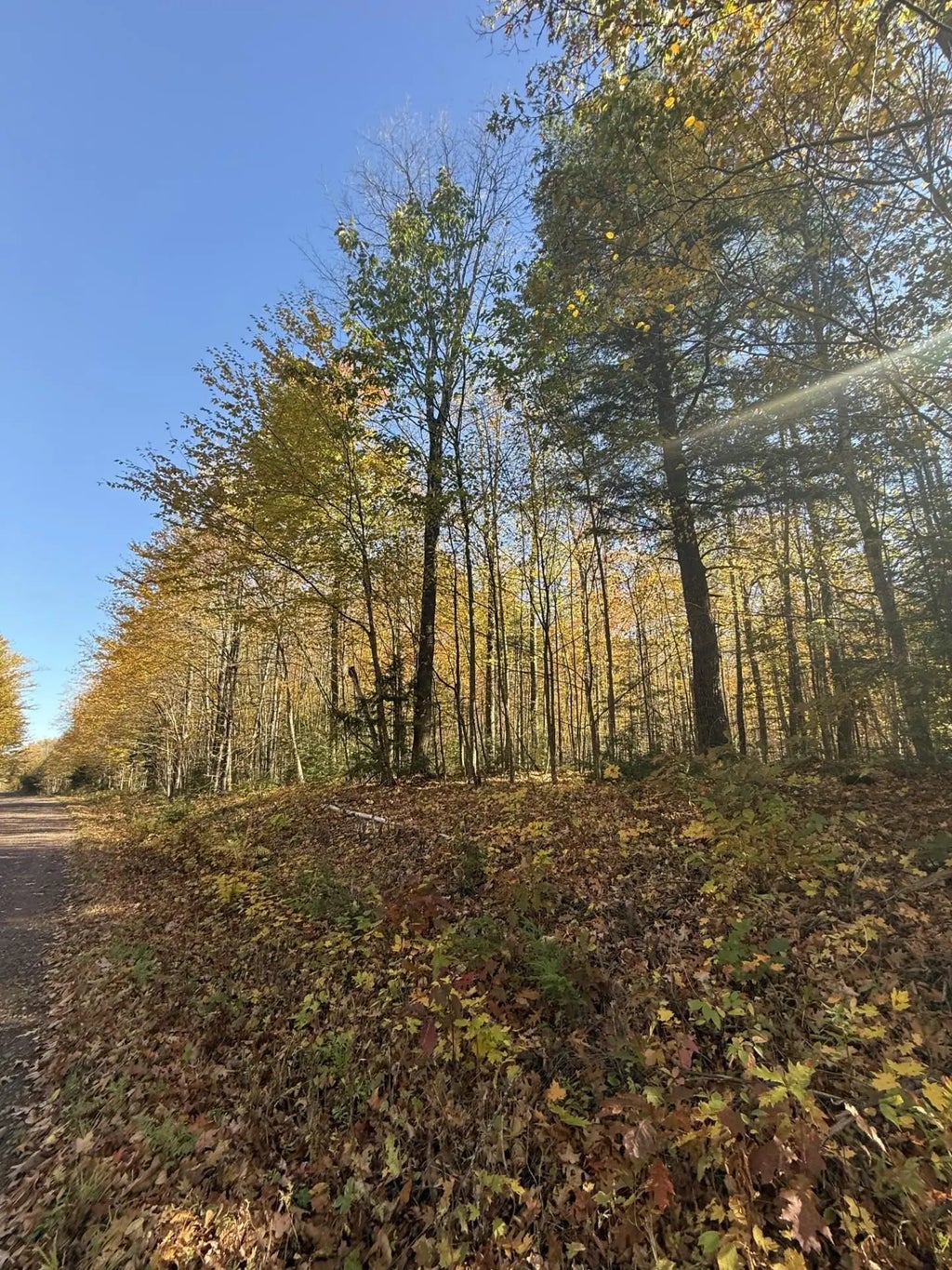 Ashland Bayfield Rd, Ashland