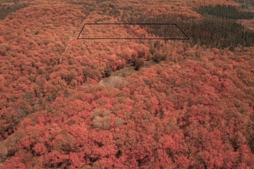 Tbd Parcel 9 Power Line Road, Iron River