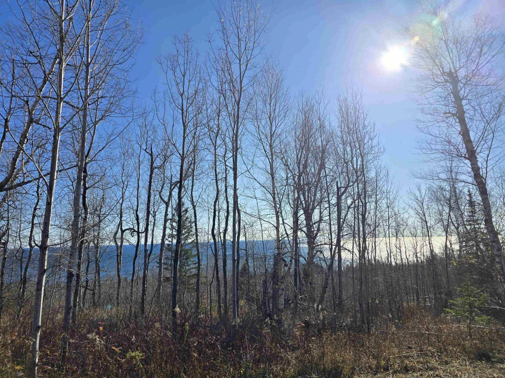 6669 Little Marais Trl, Silver Bay