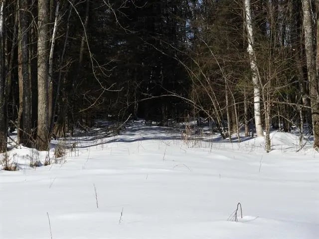 N8357 Down River Rd, Phillips