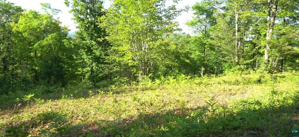 83xxx Ashwabay Heights Rd, Bayfield
