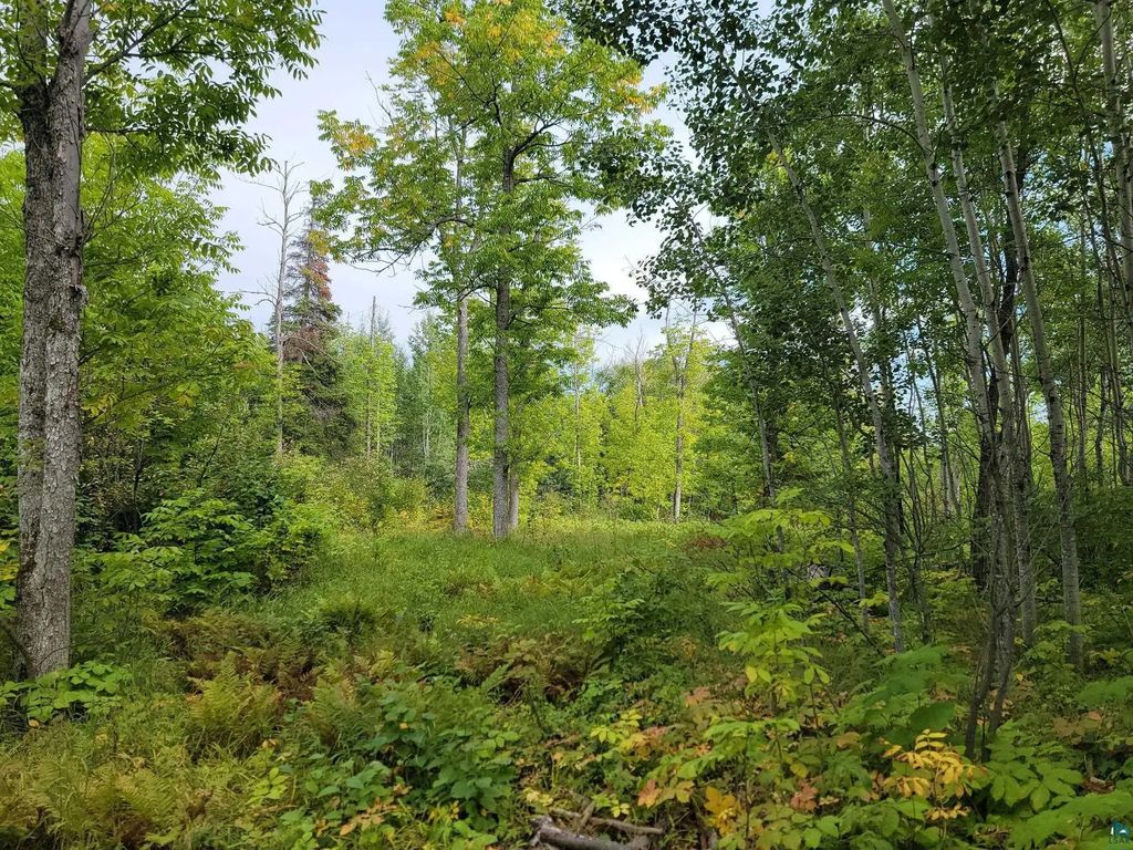 20x Sled Dog Trl, Hovland