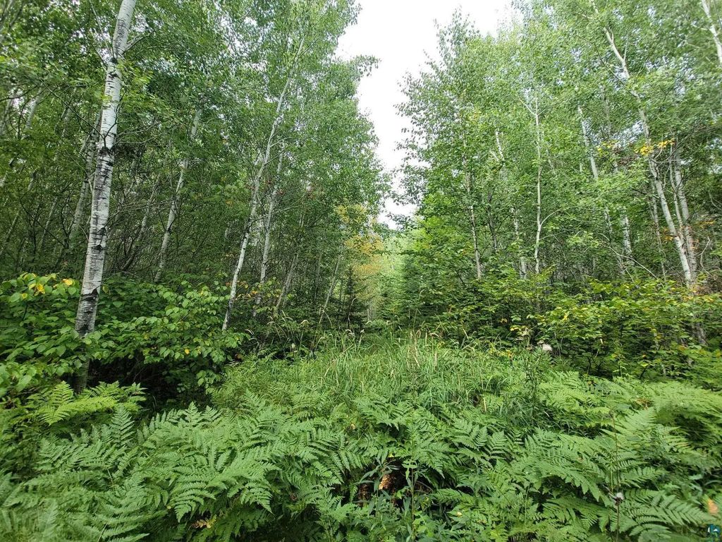 80x Sled Dog Trl, Hovland