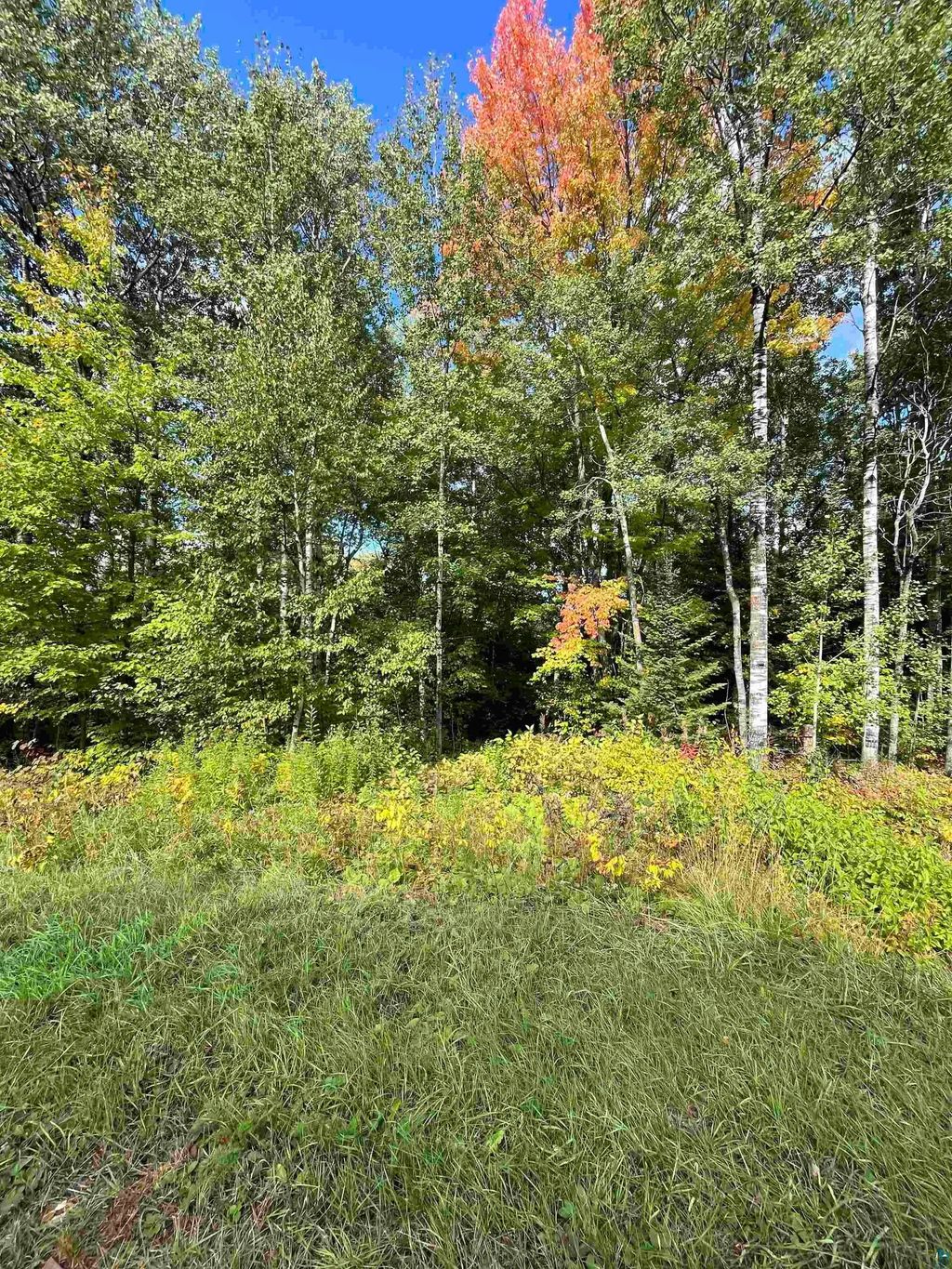4.72 Acres On Lavaque Bypass, Hermantown