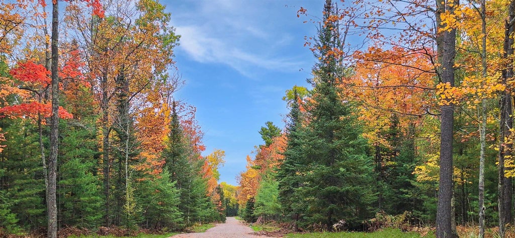 Lot 5 Raspberry Trail, LaPointe