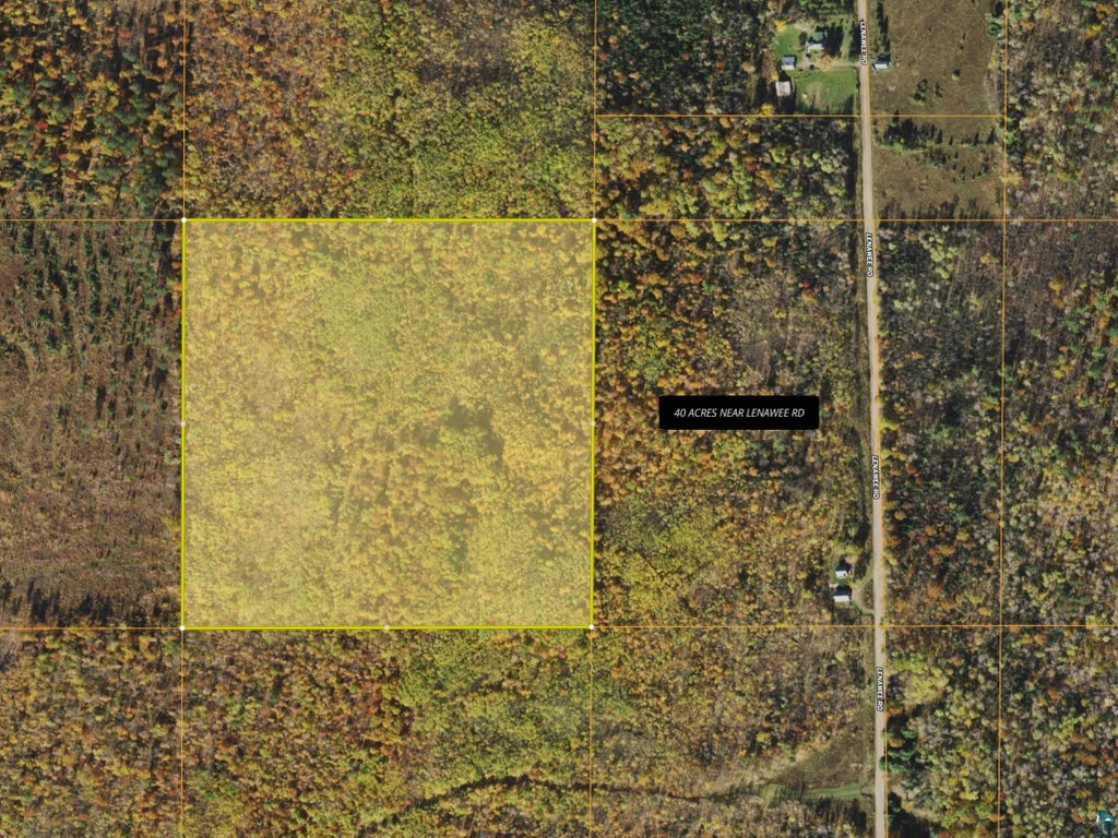 40 Acres Near Lenawee Road, Herbster