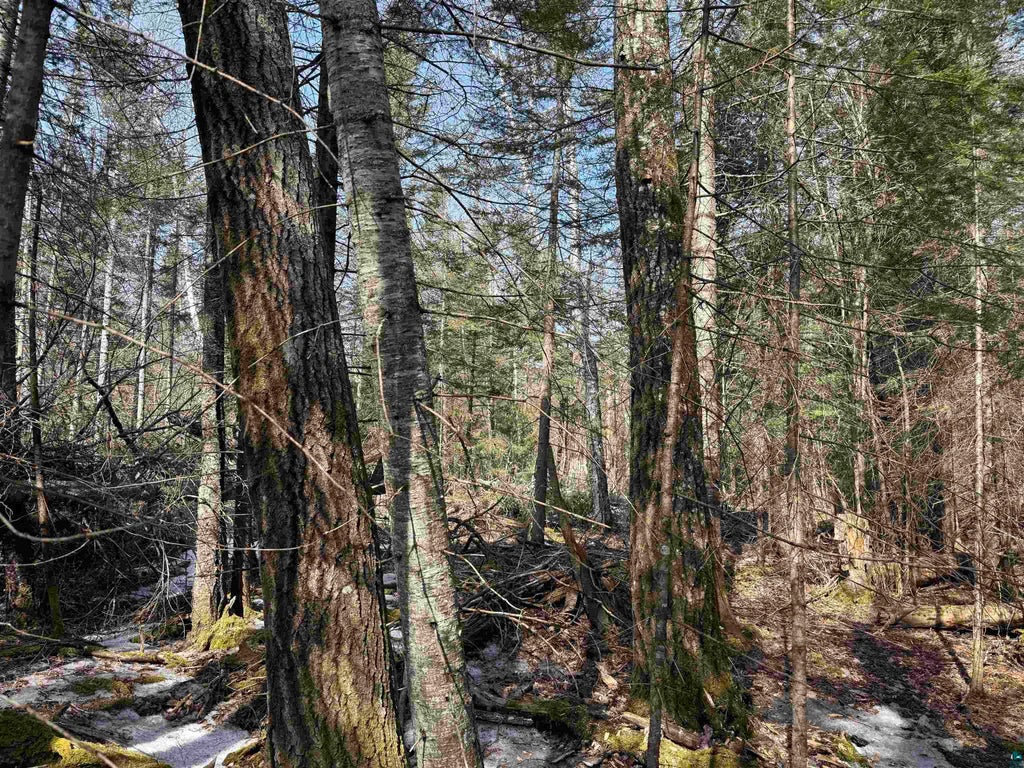 1xx W 13th Avenue, Grand Marais