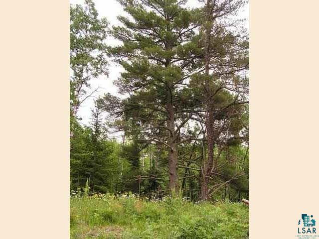 1687 Golden Ridge Tr, Ely