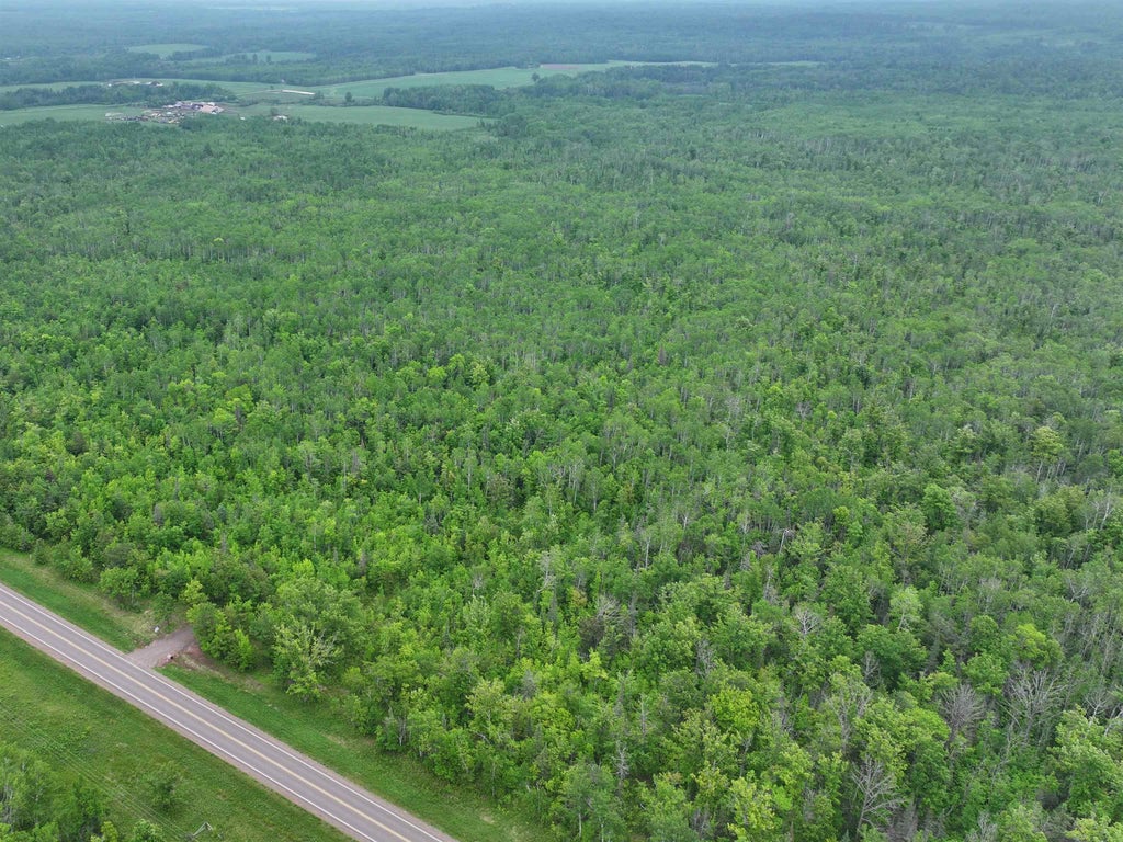 67 Acres On County Highway A, Iron River