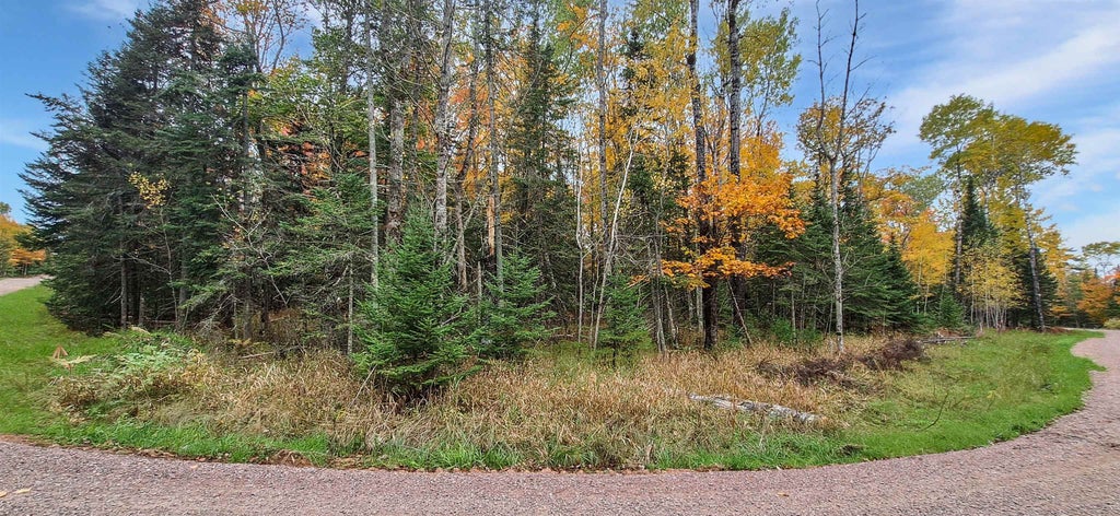 Lot 1, Block 1 Raspberry Trail, LaPointe
