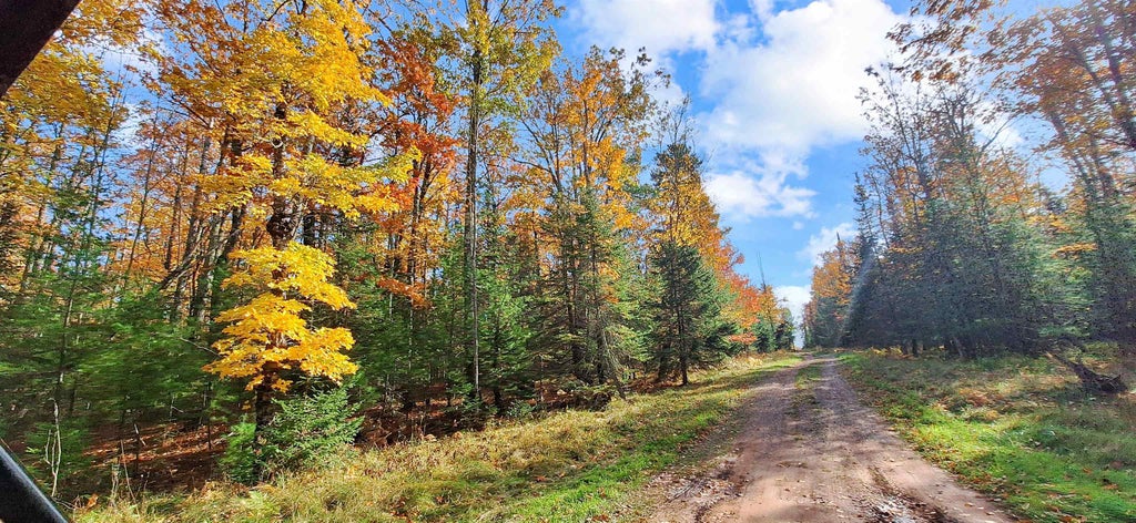 Lot 1, Block 2 Raspberry Trail, LaPointe