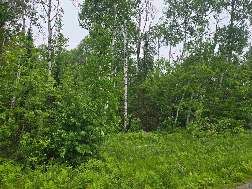 6559 E County Road C, South Range