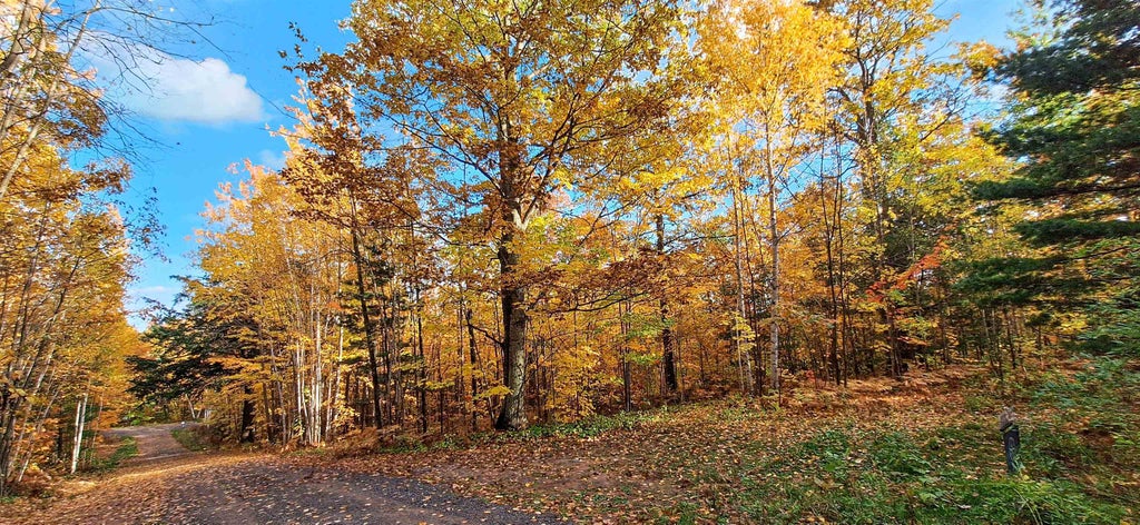 Lot Z Apple Hill Road, Bayfield