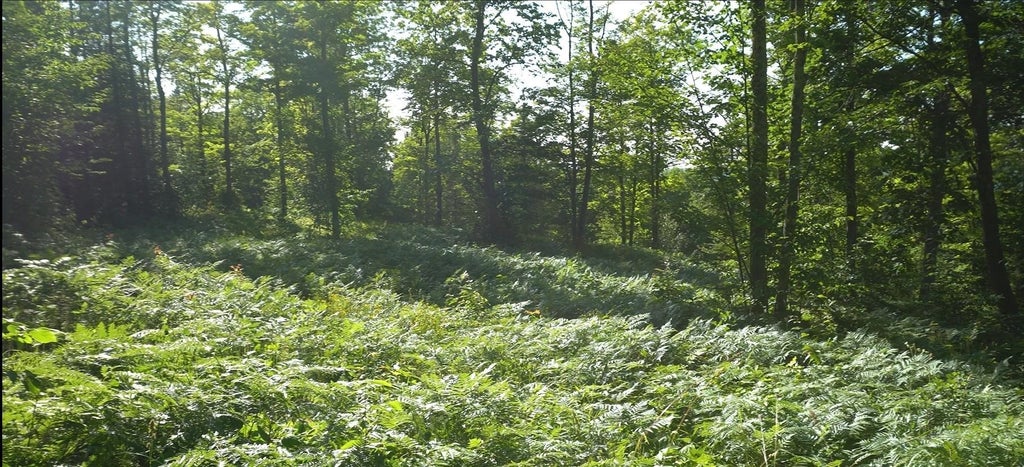 83xxx Ashwabay Heights Road, Bayfield