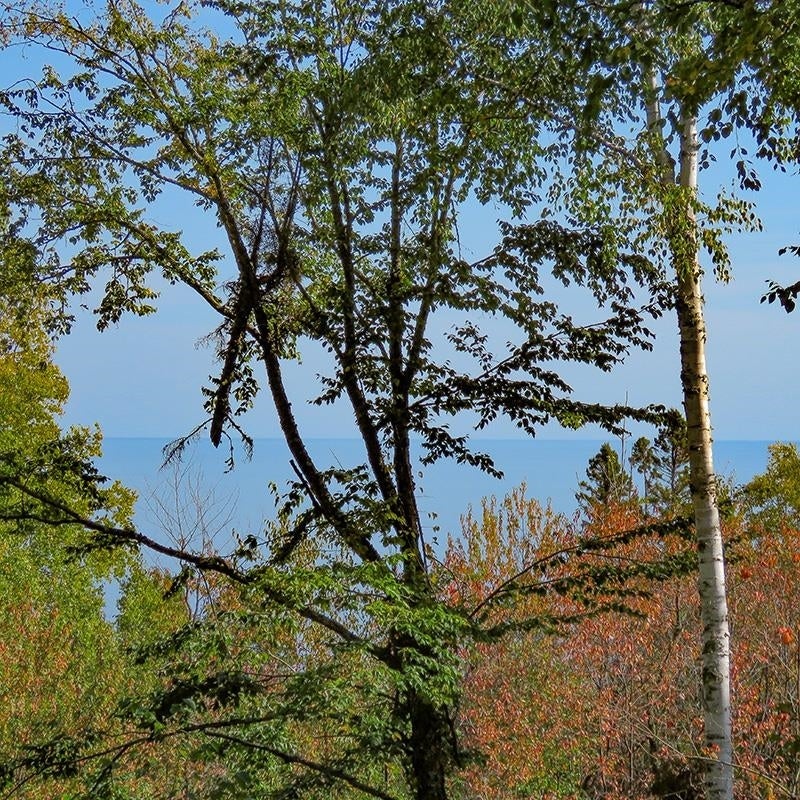 Xxx Hoaglund Drive, Tofte