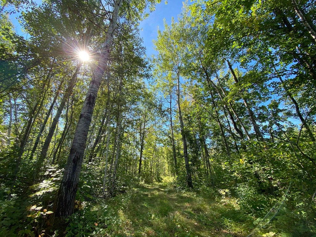 4048 Little Road, Barnum